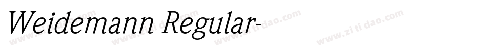 Weidemann Regular字体转换